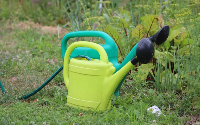 Comment_réutiliser_l_eau_de_votre_sèche_linge_pour_arroser_vos_plantes_?
