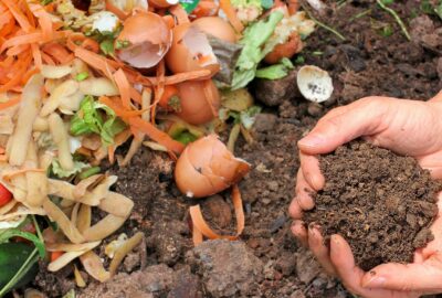 Engrais_naturels_pour_potager_:_pour_une_maison_plus_verte_et_plus_saine