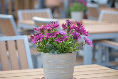 5_astuces_incontournables_pour_un_aménagement_de_terrasse_jardin_épatant