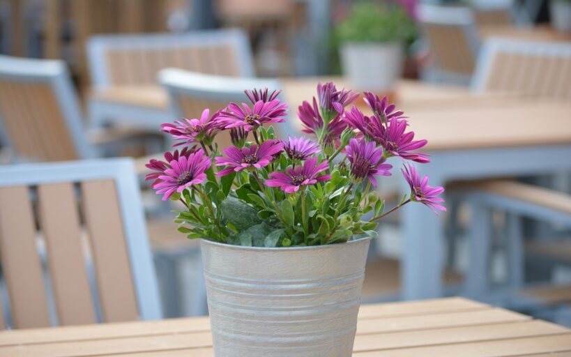 5_astuces_incontournables_pour_un_aménagement_de_terrasse_jardin_épatant