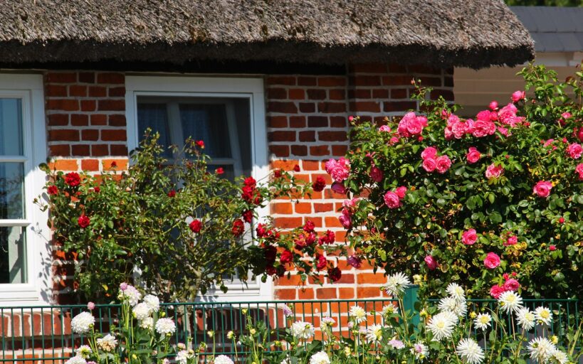 Astuces_pour_un_jardin_moderne_et_fleuri_:_réinventer_l_espace_extérieur