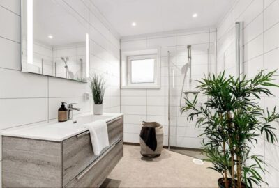 Comment_décorer_avec_de_grandes_plantes_d_intérieur_dans_un_petit_espace