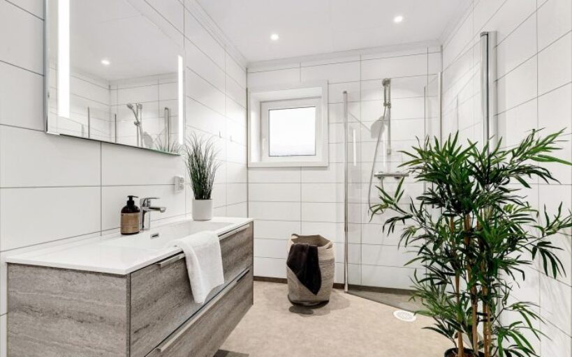 Comment_décorer_avec_de_grandes_plantes_d_intérieur_dans_un_petit_espace