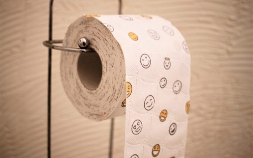 Design_intérieur_:_décorez_vos_toilettes_avec_un_porte_papier_WC_original