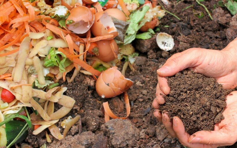 Engrais_naturels_pour_potager_:_pour_une_maison_plus_verte_et_plus_saine