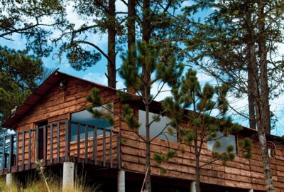 Les_atouts_d_un_chalet_en_bois_:_confort,_écologie_et_ambiance_chaleureuse