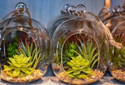 Pourquoi_opter_pour_des_plantes_artificielles_pour_créer_un_mur_de_plantes_?