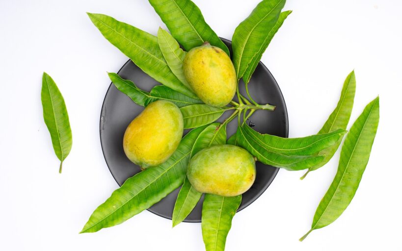 Comment_transformer_un_simple_noyau_de_mangue_en_un_arbre_fruitier_chez_vous_?