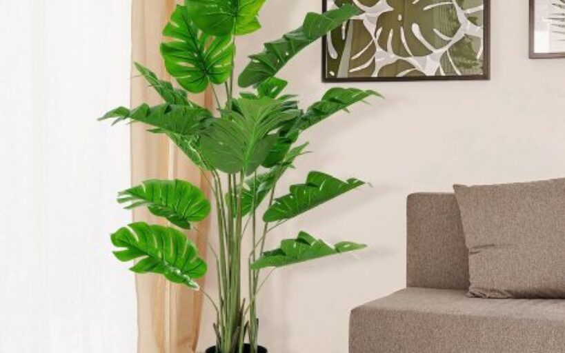 Aménagement,_décoration_de_maison_:_comment_donner_du_cachet_à_une_maison_neuve_?