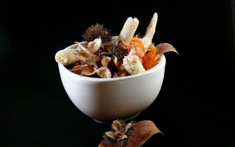 Senteurs_d_automne_:_4_recettes_naturelles_pour_rafraîchir_l_air_pour_l_automne