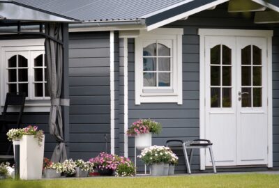 5_raisons_pour_lesquelles_le_Choisya_ternata_est_parfait_pour_votre_jardin_de_maison