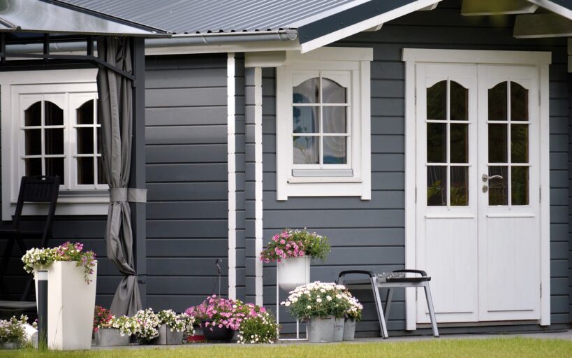 5_raisons_pour_lesquelles_le_Choisya_ternata_est_parfait_pour_votre_jardin_de_maison