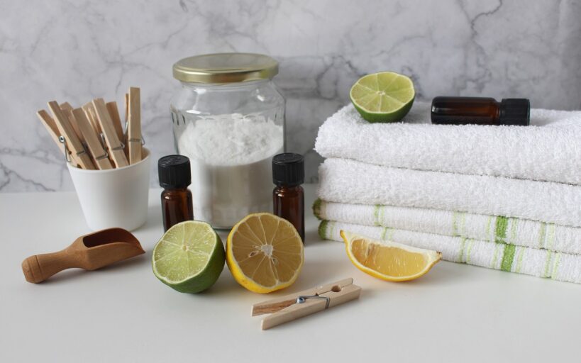 Protégez_votre_maison_de_l_humidité_excessive_avec_des_absorbeurs_d_humidité_naturels