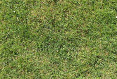 Astuces_essentielles_pour_une_utilisation_en_toute_sécurité_de_votre_débroussailleuse_à_la_maison
