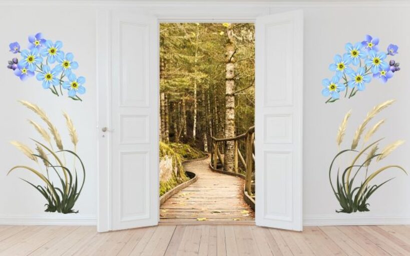 Stickers_muraux_et_déco_:_un_support_simple_et_abordable_pour_personnaliser_son_intérieur