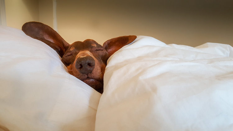couette-en-soie.