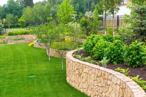 jardin