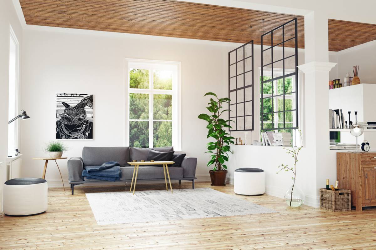 Aménagement intérieur : comment séparer une pièce sans créer de l'ombre