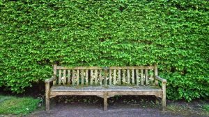 Mobilier urbain pour collectivités : que privilégier en priorité ?